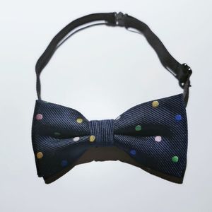 Gymboree Boys Bow Tie